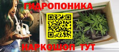 кокс Бузулук