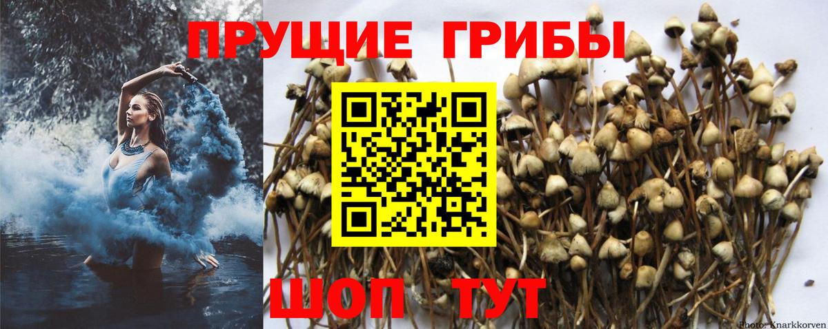 Галлюциногенные грибы ЛСД Бахчисарай